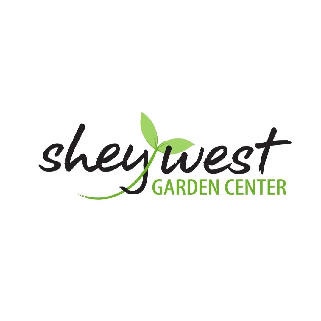 Sheywest