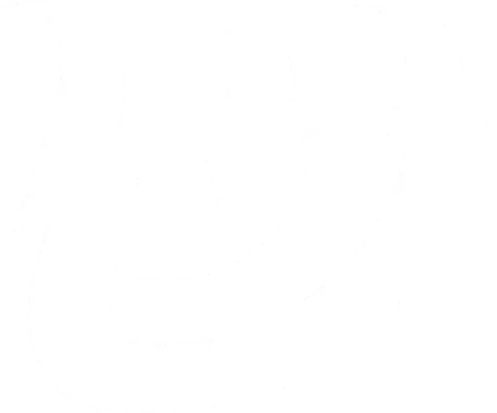 SHINERGY LIFE light logo