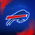 The Bills Store logo