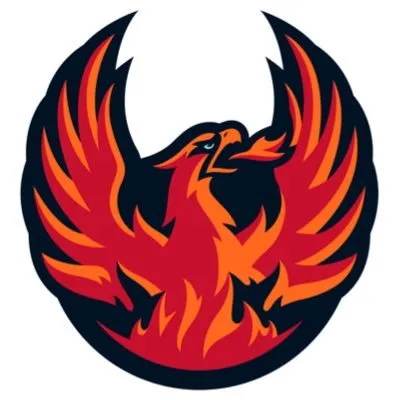 Coachella Valley Firebirds logo