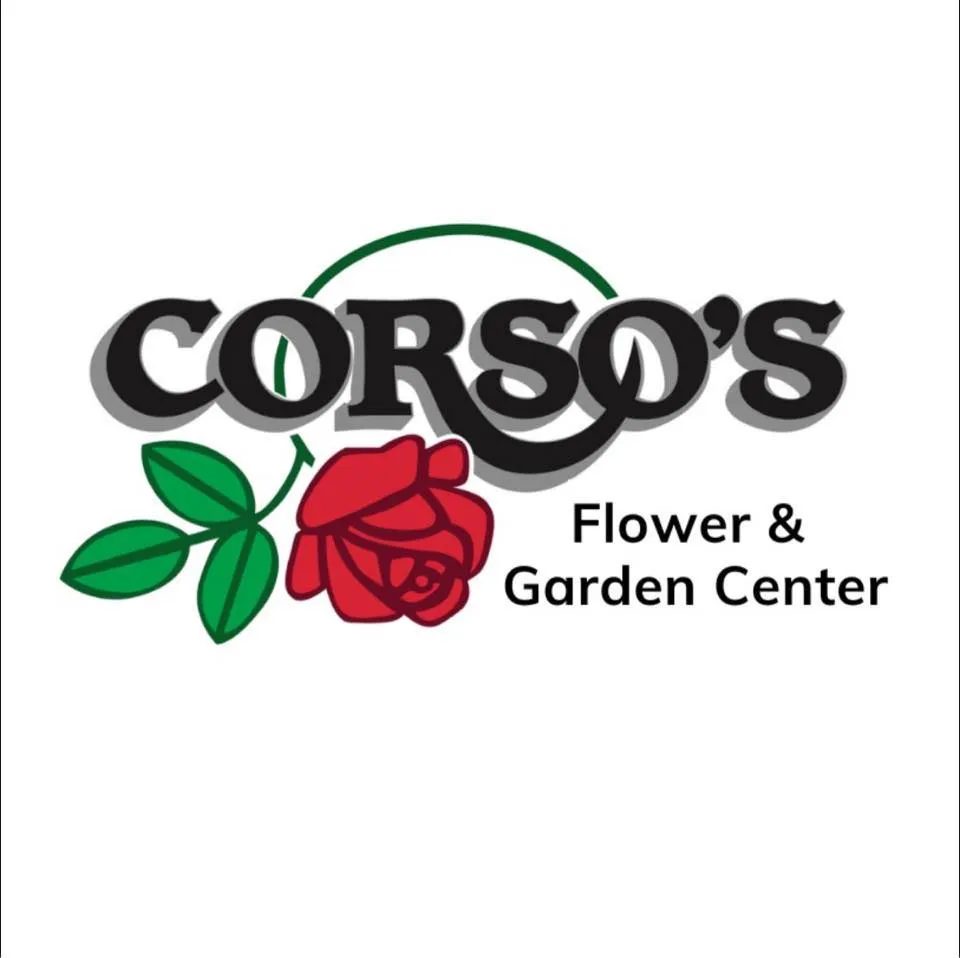 Shopcorsos