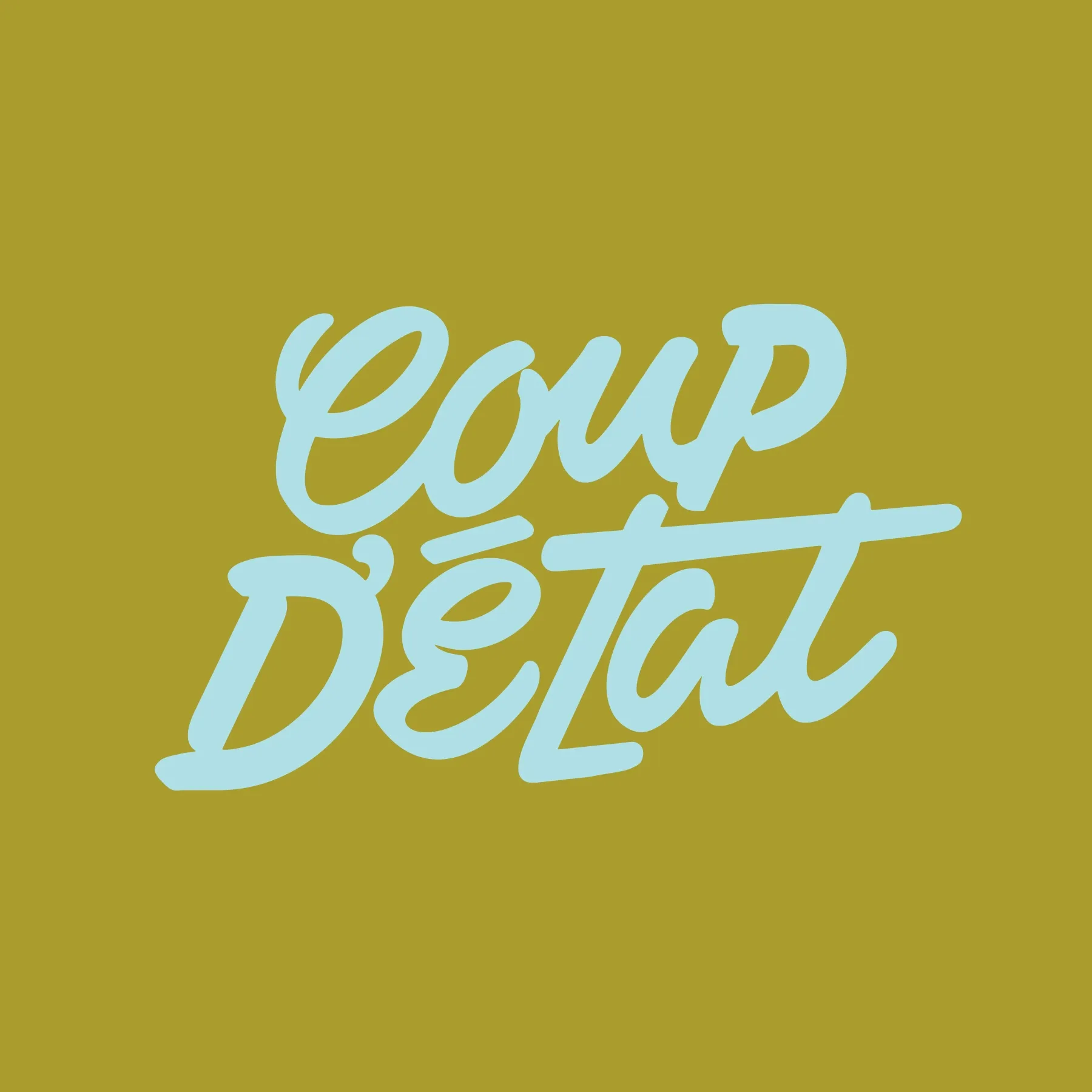Shopcoupdetat