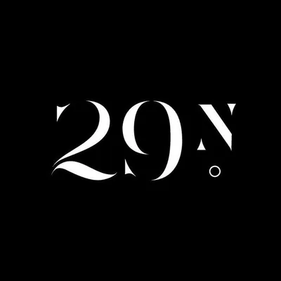 29 North Boutique at The Post logo