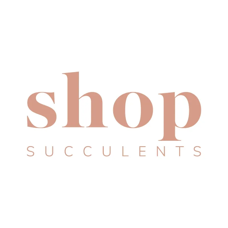 Shopsucculents
