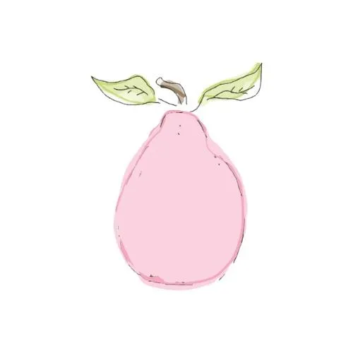 Shopthepinkpear