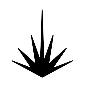 Shopyucca