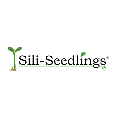 Sili-seedlings
