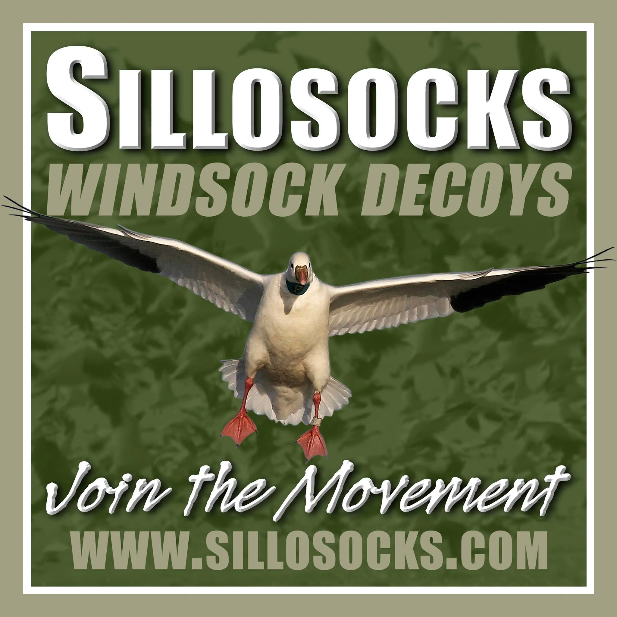 Sillosocks