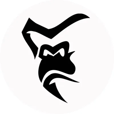 Silverback Gym Wear