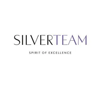 Silverteam logo