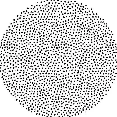 Singular logo