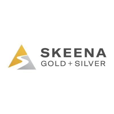 Skeena Resources Ltd logo