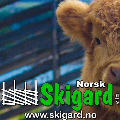 NORSK SKIGARD AS