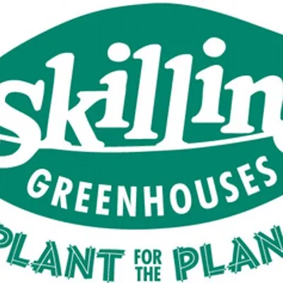 Skillins