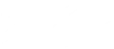 Skillsnt light logo