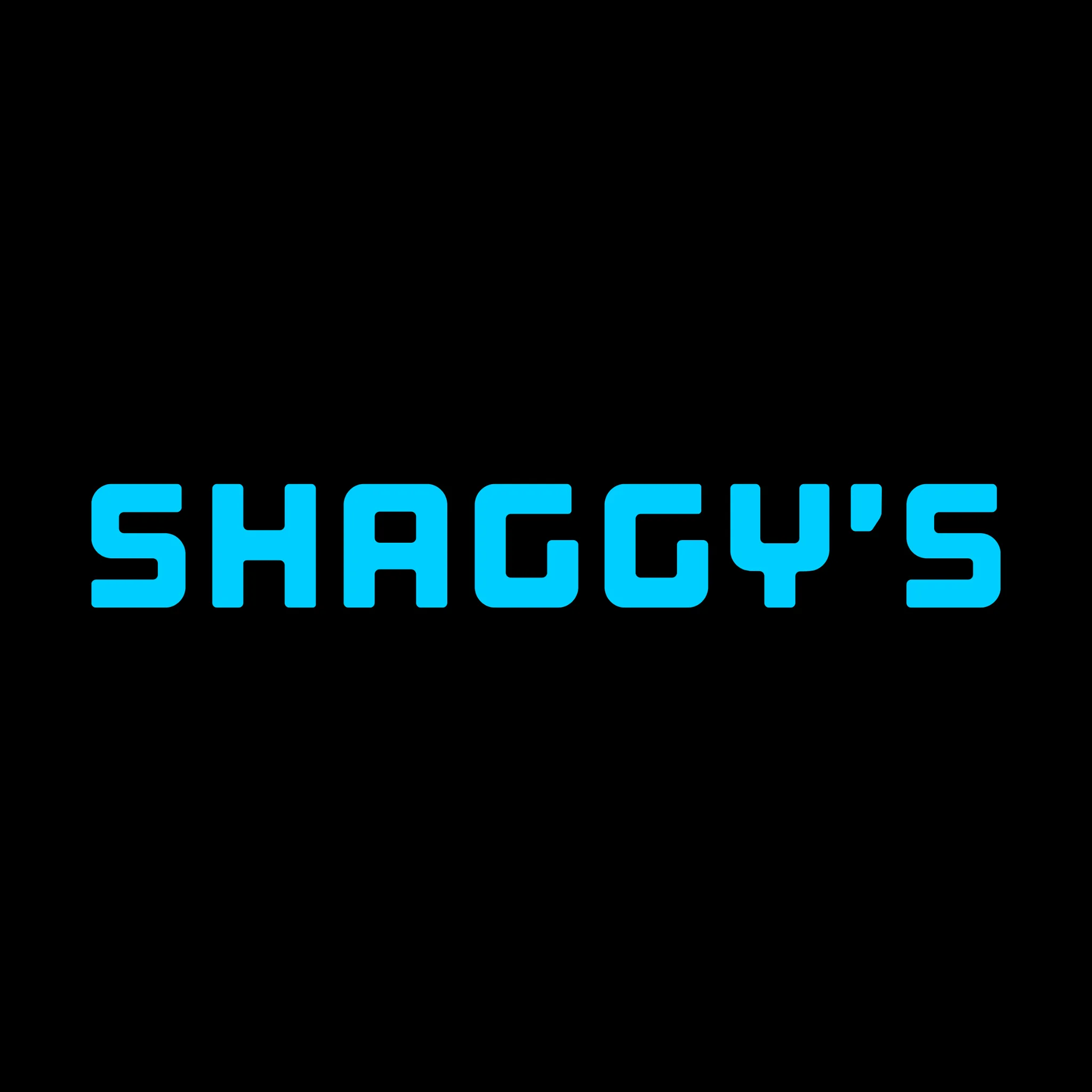 Skishaggys