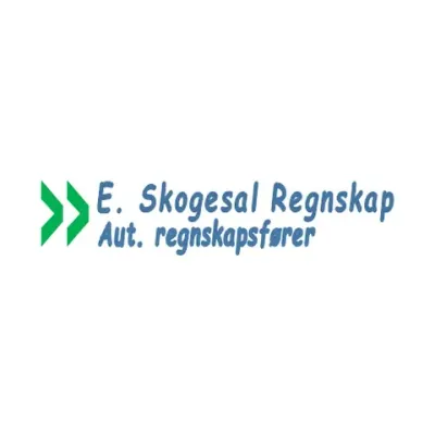 E. SKOGESAL REGNSKAP