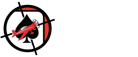 Skycombatace light logo