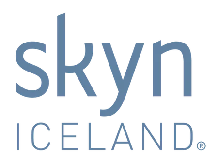 Skyniceland logo