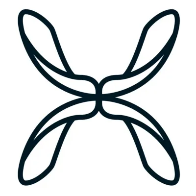 Skyseed GmbH logo