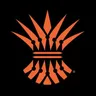 skyview logo