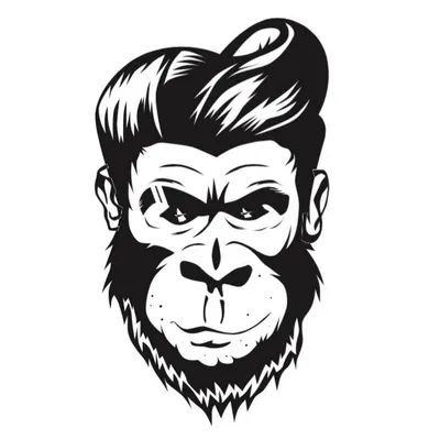 slickgorilla.co.uk logo