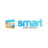 Smart DNS Proxy logo