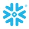 Snowflake-company-logo