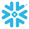 Snowflake-company-logo