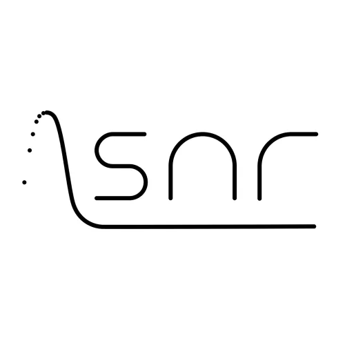 SNR Ventures logo