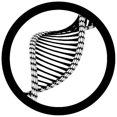 company_logo