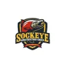 Sockeye Construction Group logo