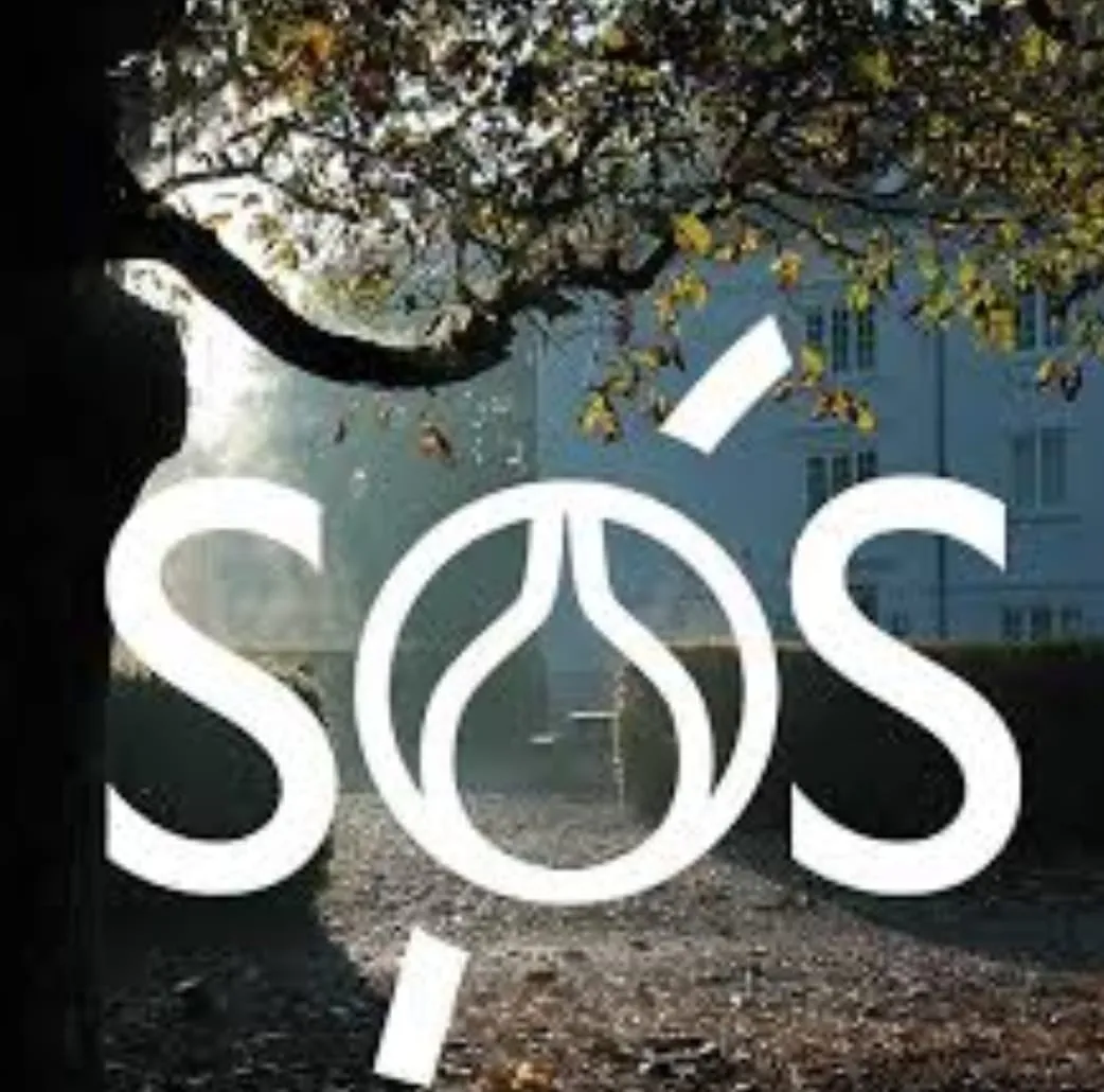 Sydøstsjællands Idrætsefterskole logo
