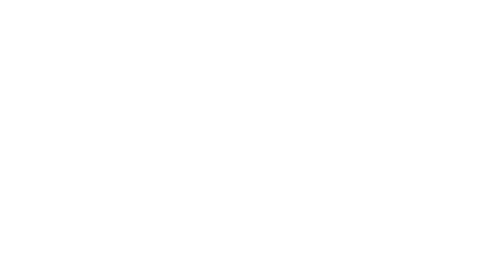 Sofft Shoes light logo