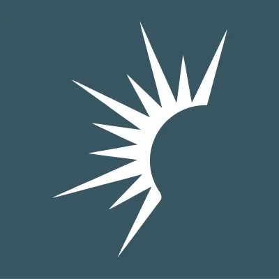 Domain Solaris Fund, LP logo