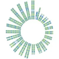 Soleno Therapeutics Inc logo