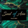 Logo Soul of Asia