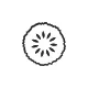 Soursop logo