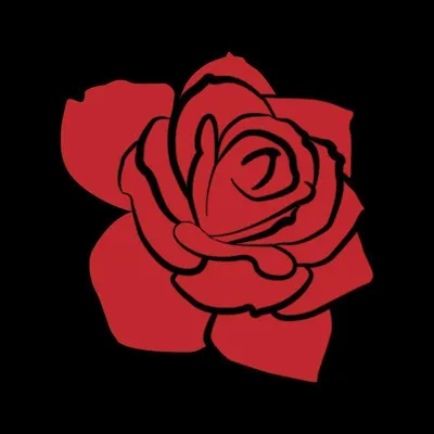 SPARKLY ROSES