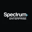Spectrum Business