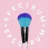 Spectrum Collections logo