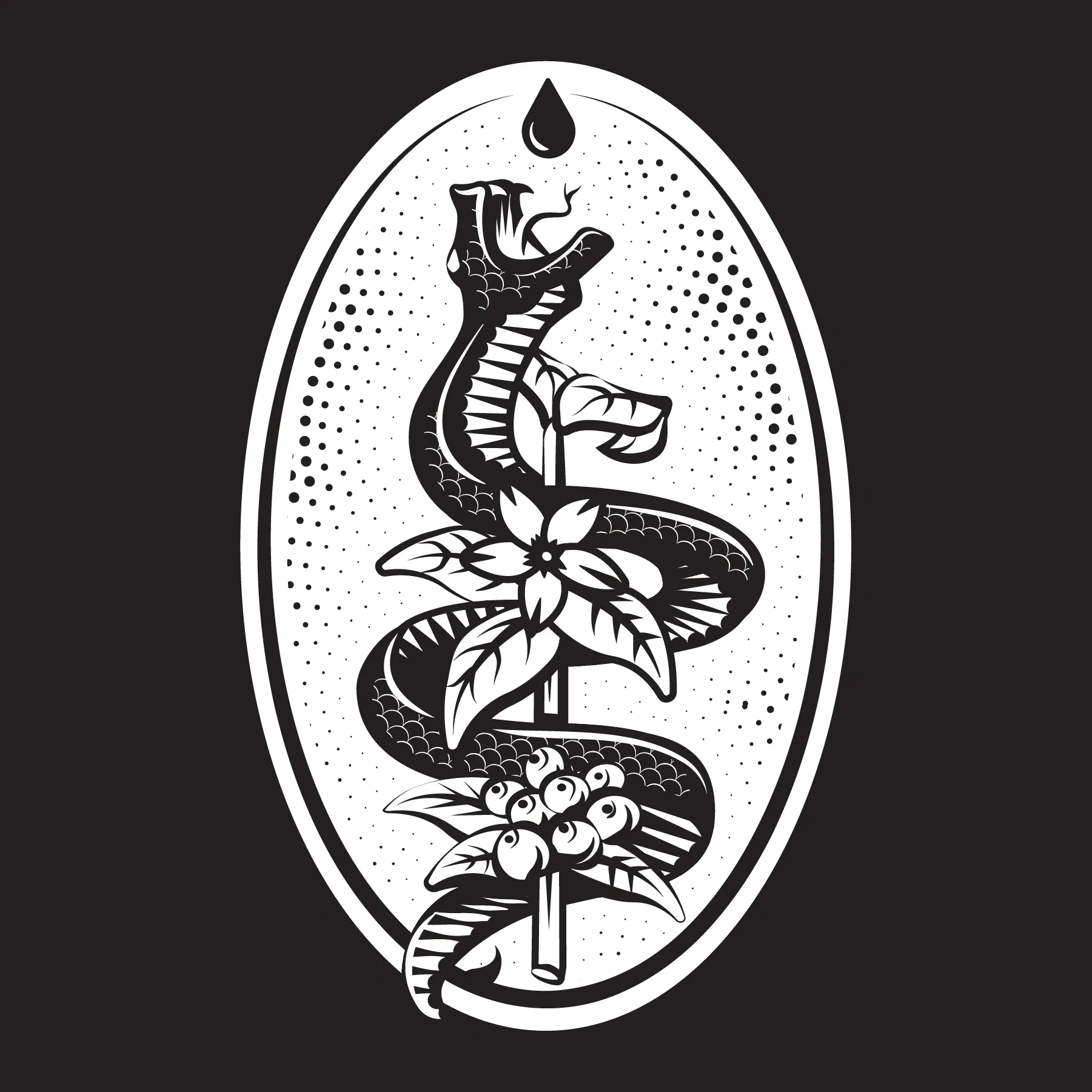 Spiritus Coffee