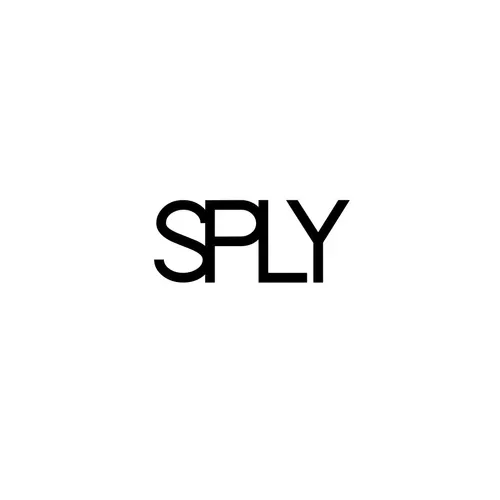 SPLY Capital Funds LLC - Series 29 logo