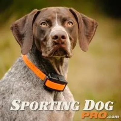 Sporting Dog Pro