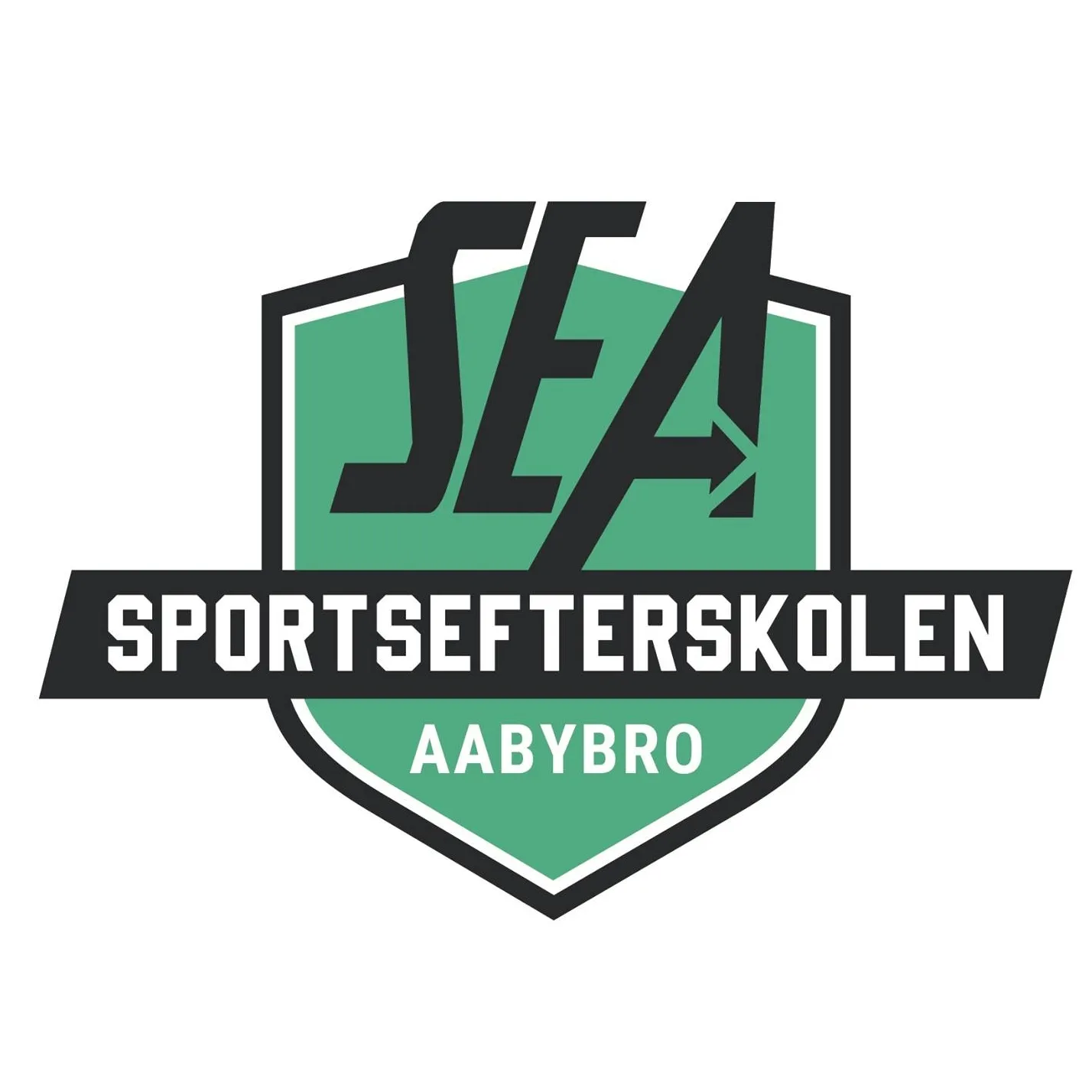 Sportsefterskolen Aabybro logo