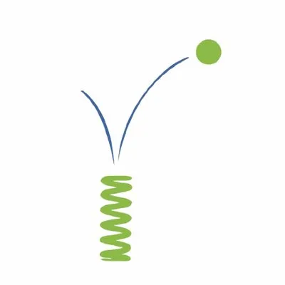 Springboard Parent, LP logo