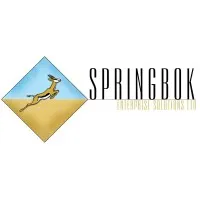 Springbok Enterprise Solutions Ltd logo