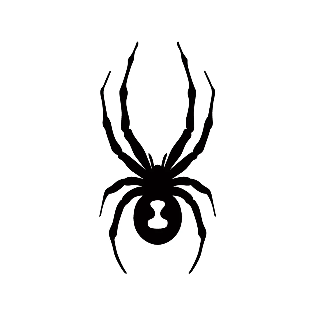 Spyder