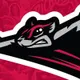 Richmond Flying Squirrels logo