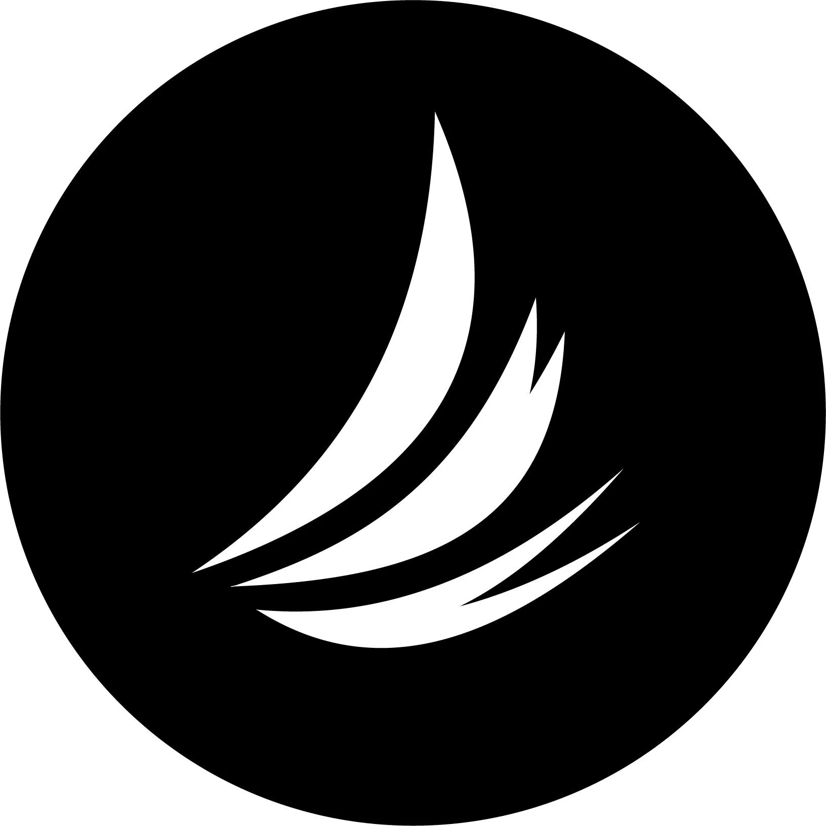 Stacy Lash logo